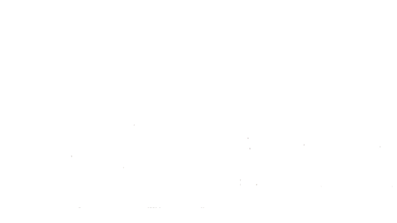 Landman